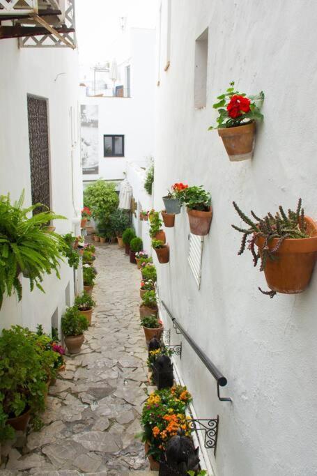 Ferienwohnung Casa Anicca Vejer de la Frontera Exterior foto
